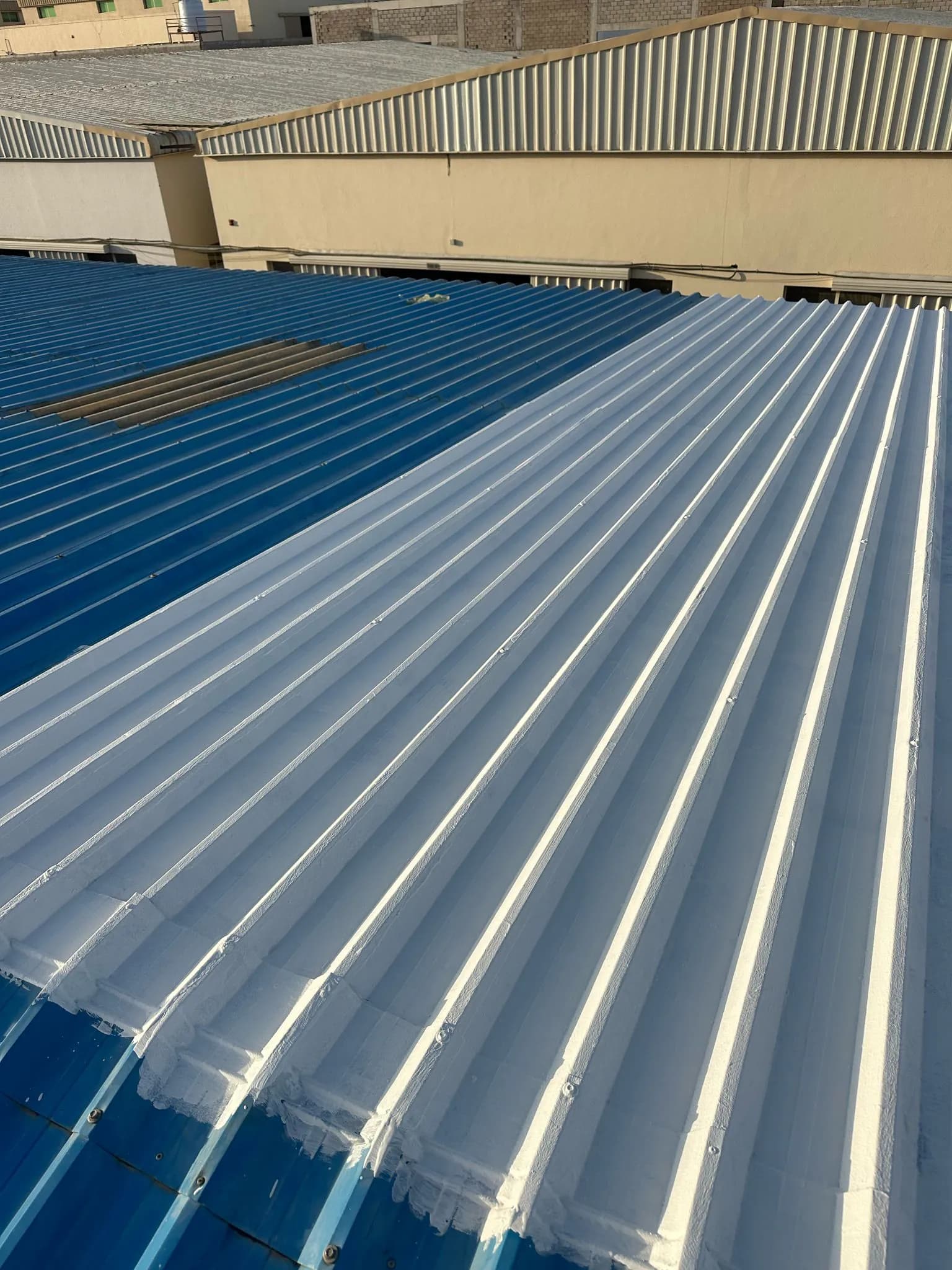 Intervention professionnelle sur toiture